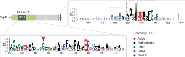 Figure 7—figure supplement 1.