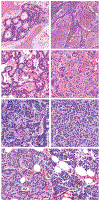 Fig. 4 |