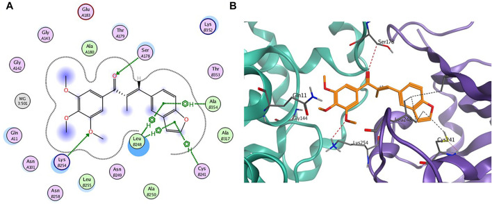 FIGURE 4