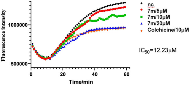 FIGURE 3