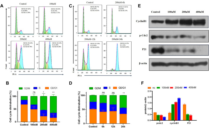 FIGURE 6