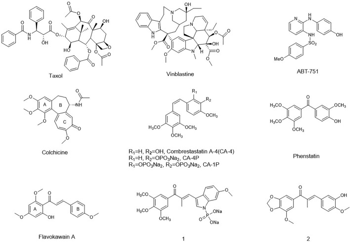 FIGURE 1