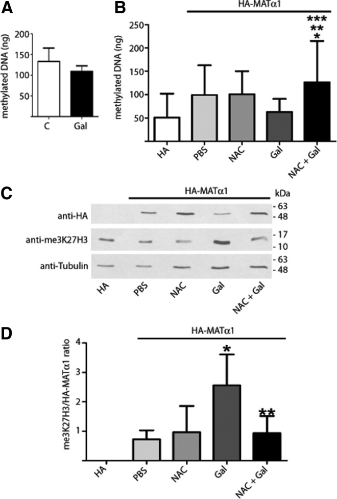 FIG. 8.