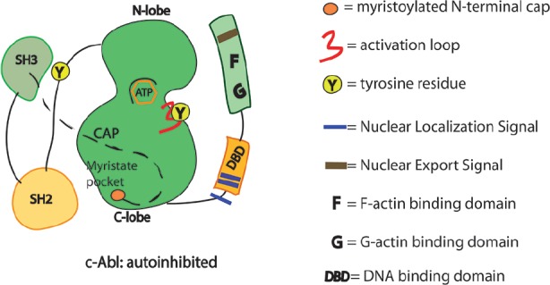 FIGURE 1