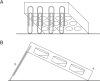 Figure 1B.1.1
