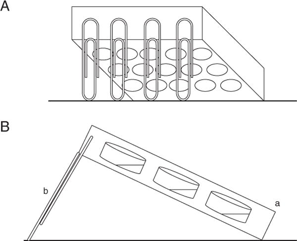 Figure 1B.1.1