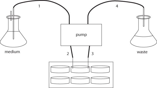 Figure 1B.1.5