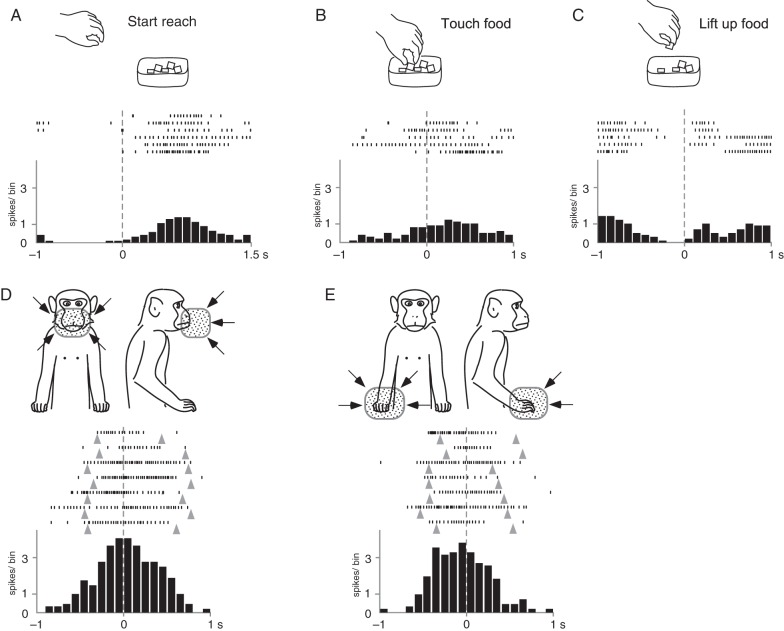 Figure 7.