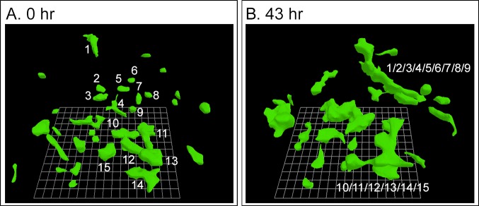 Fig 8