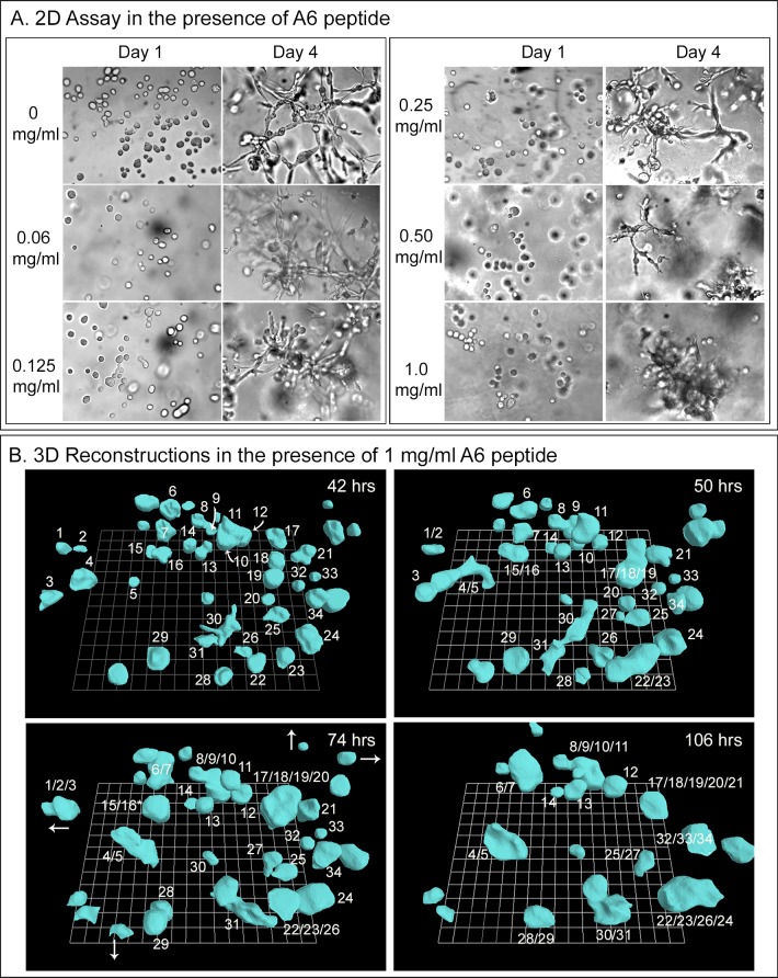 Fig 10