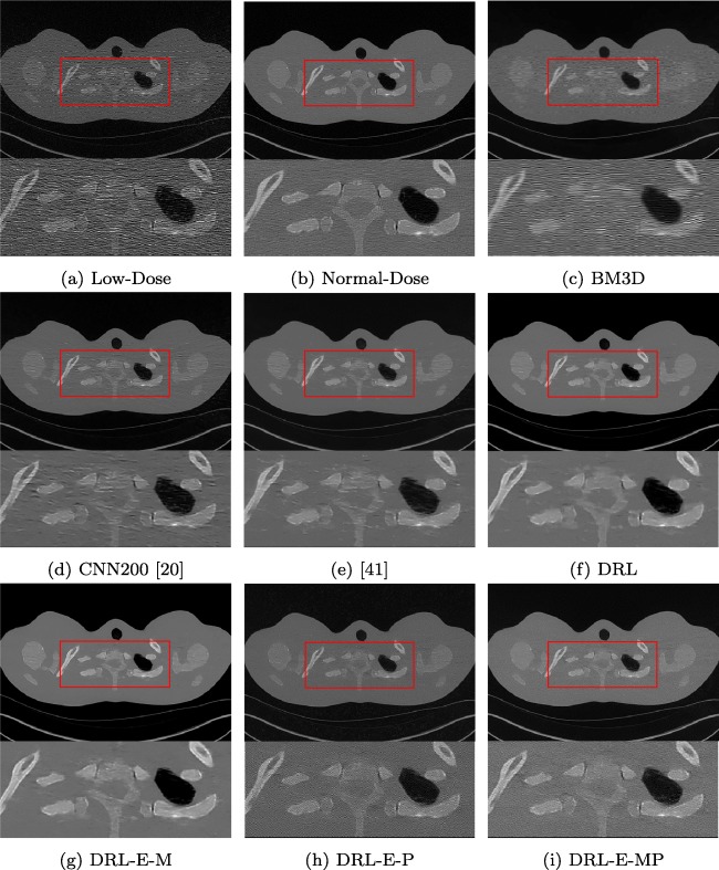 Fig. 8