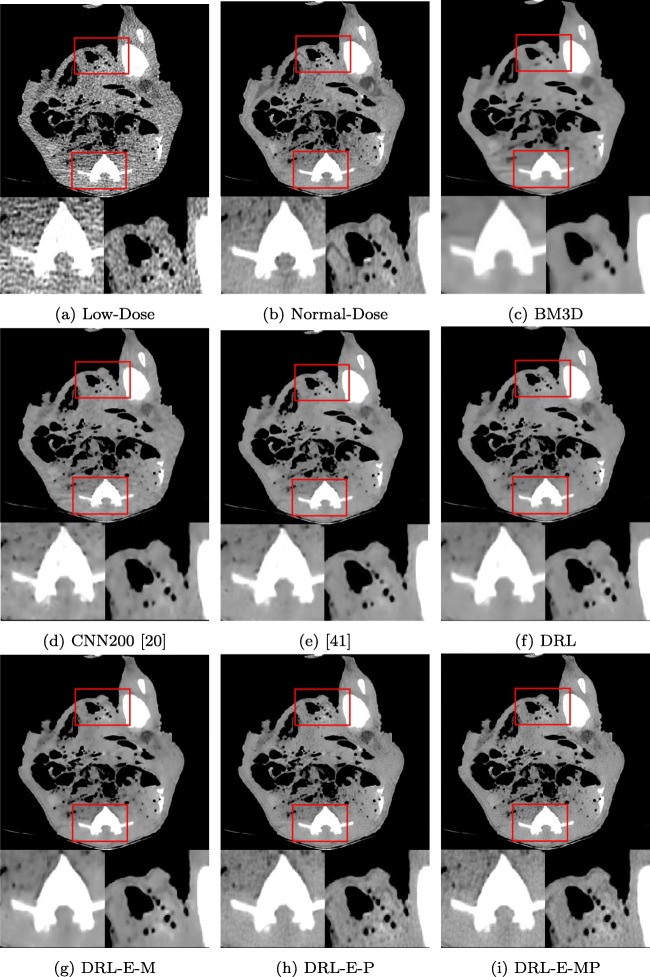 Fig. 7