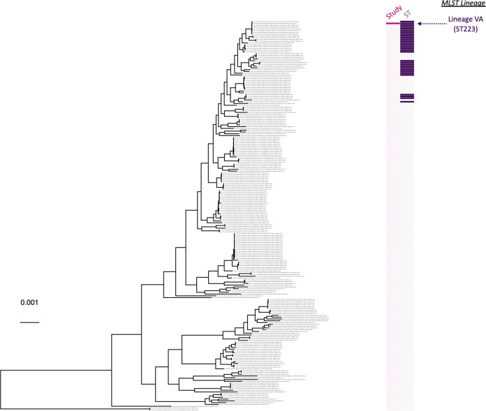 FIG 6