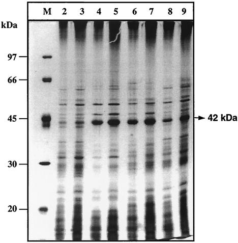 FIG. 6.