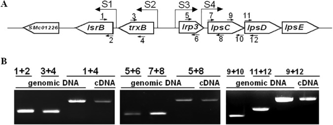 FIG 4