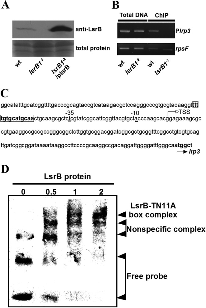 FIG 6