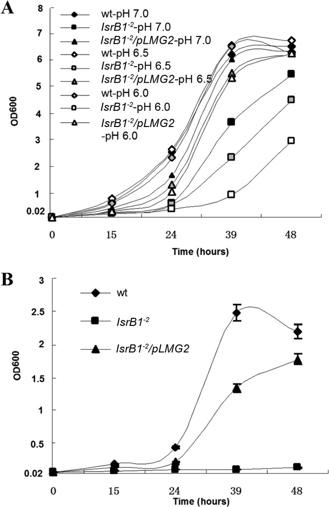 FIG 2