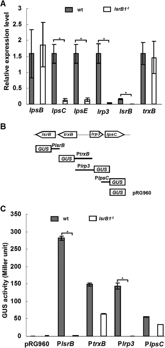 FIG 5