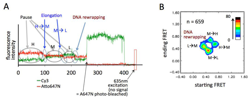 Figure 5.