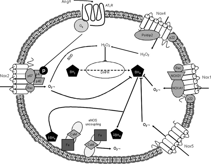 FIG. 5.