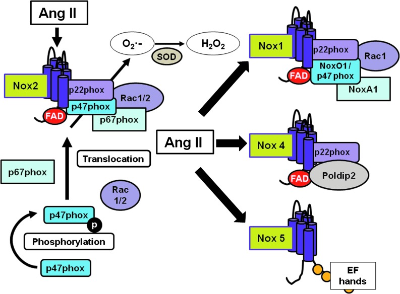 FIG. 2.