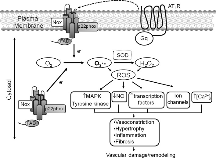 FIG. 3.