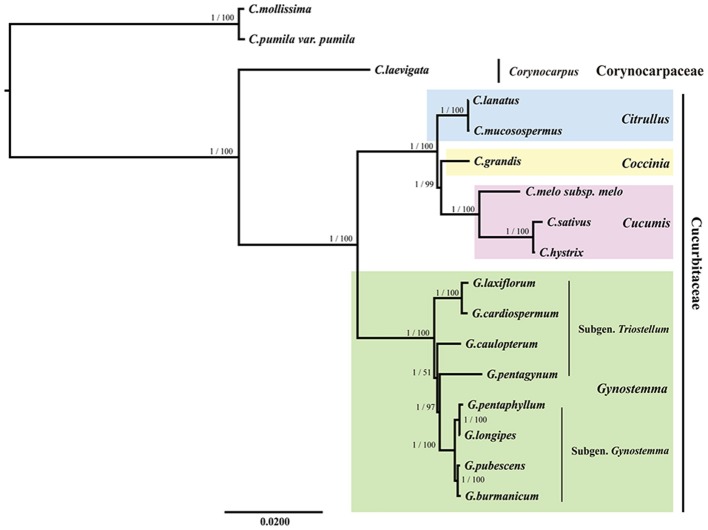 Figure 7