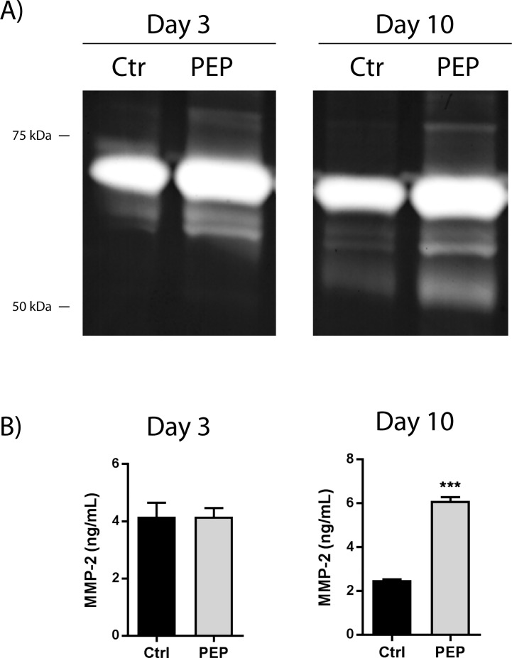 Fig 5