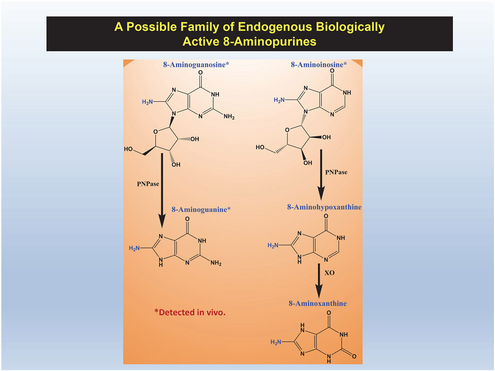 Figure 5: