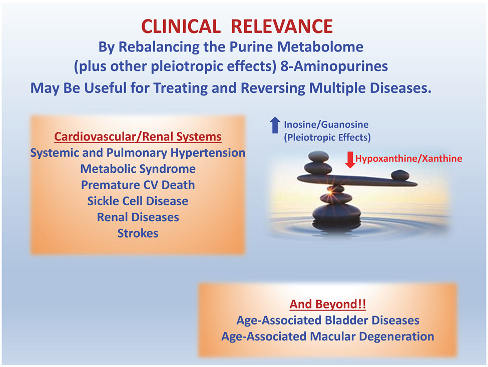 Figure 6: