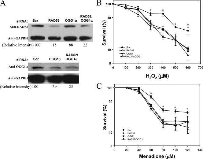 FIG. 8.