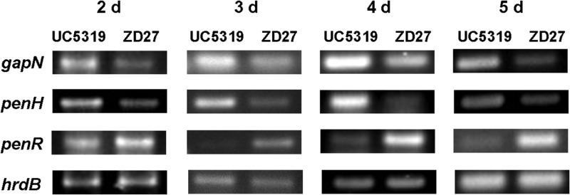 Fig 10