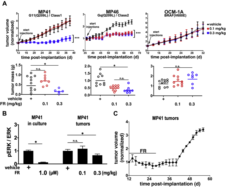 Figure 6