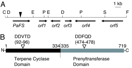 Fig. 2.