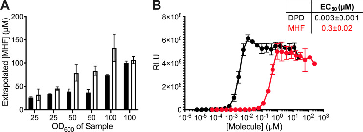 FIG 2