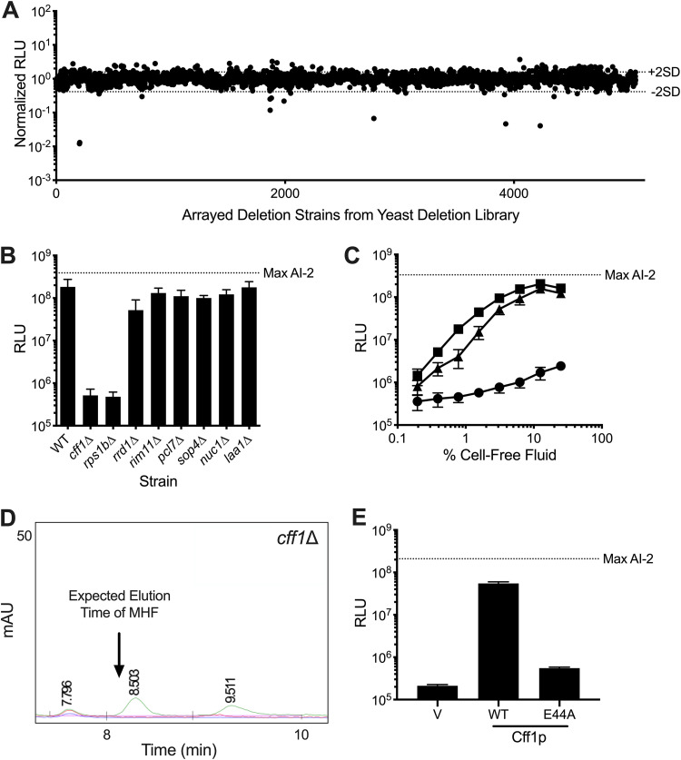 FIG 3