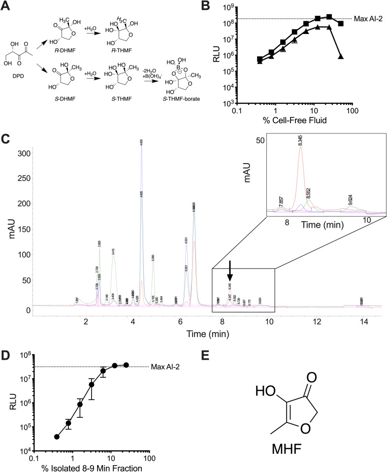 FIG 1