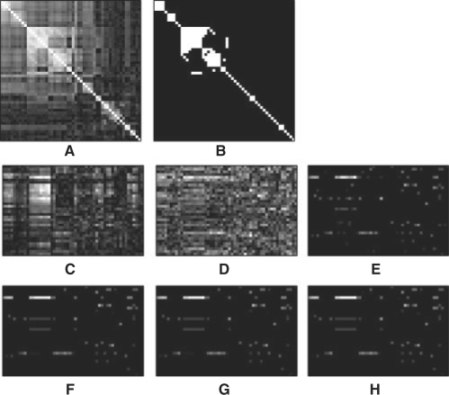 Fig. 9.