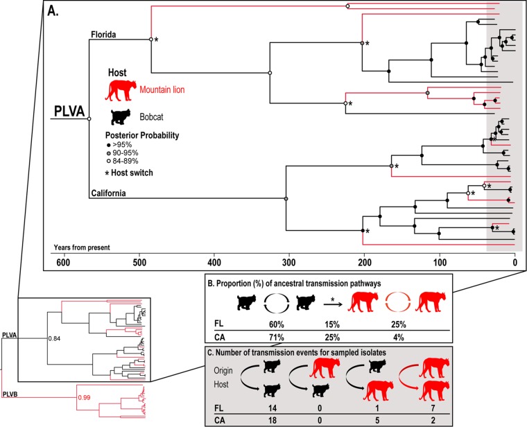 FIG 3