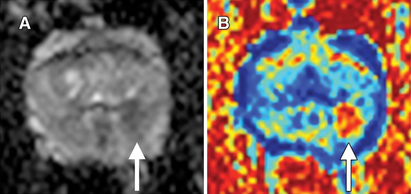 Figure 4: