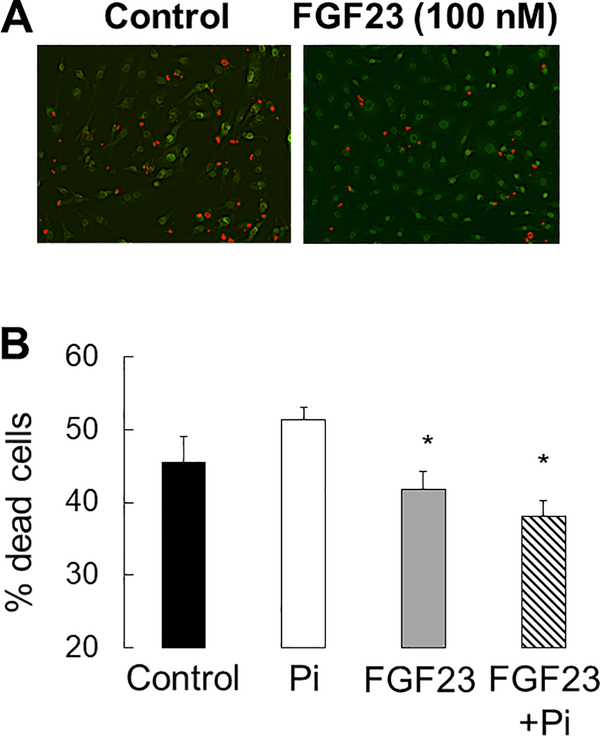 Figure 12: