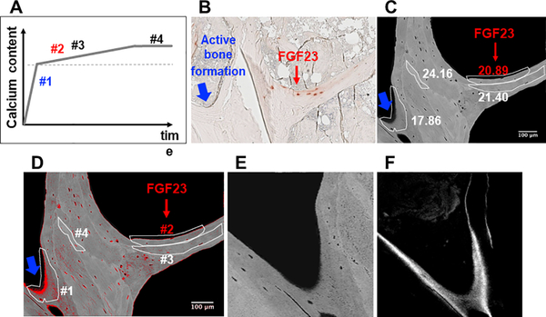 Figure 7: