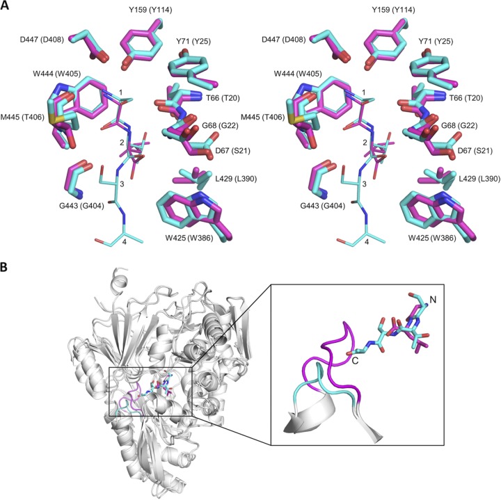 FIG 6