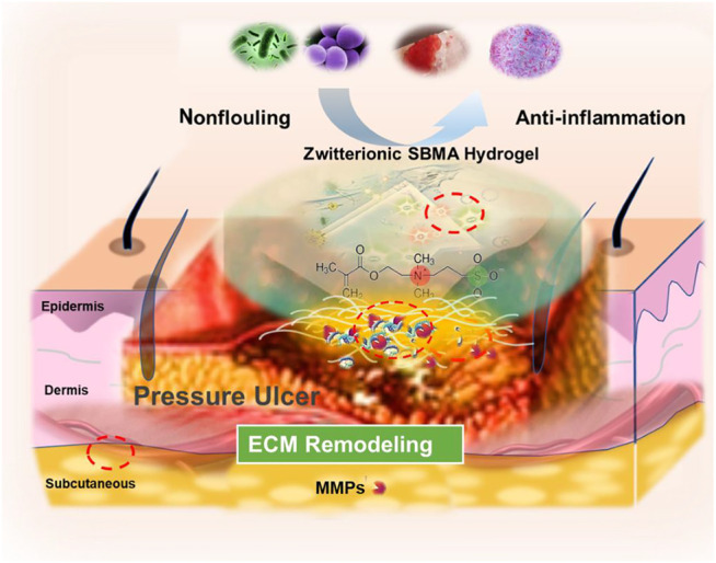 GRAPHICAL ABSTRACT