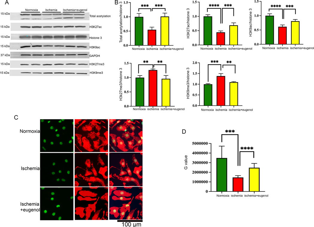 Figure 4: