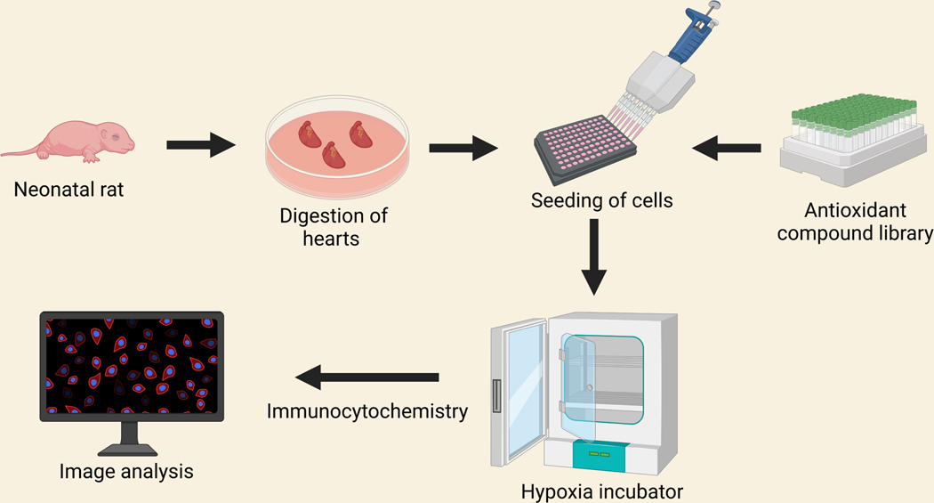 Figure 2: