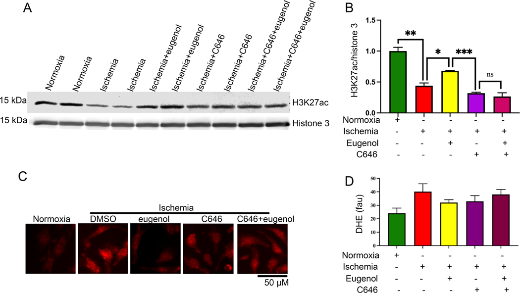 Figure 6: