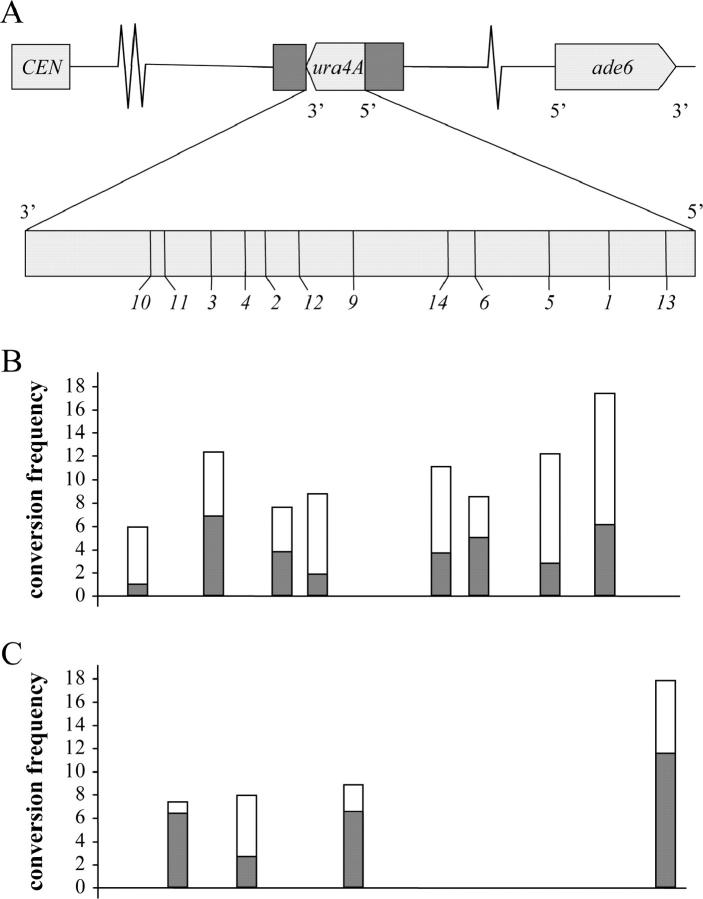 Figure 1.—