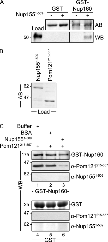 Figure 9.