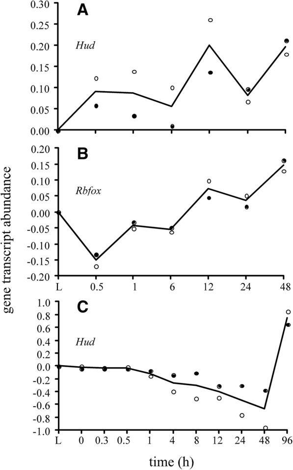 Fig. 10